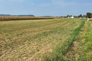 1610 River Dr S, Wabasha, MN 55981 - Photo 1