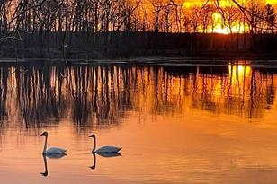 29490 442nd Pl - Photo 53