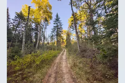 13895 Gazelle Trail, Park Rapids, MN 56470 - Photo 5