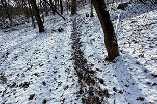 26140 Jack Pine Rd - Photo 29