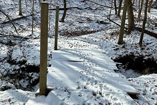 26140 Jack Pine Rd - Photo 19