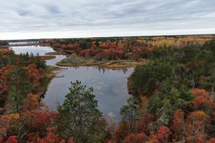 6984 E Boop Rd - Photo 15