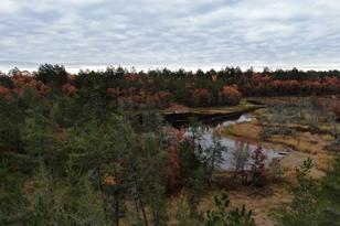 6984 E Boop Rd - Photo 17