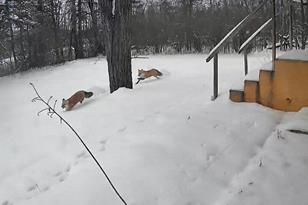 36346 State Hwy 11 - Photo 15