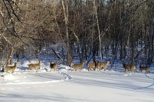 36346 State Hwy 11 - Photo 19