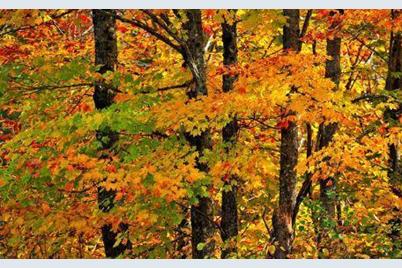 8090 Davis Street, Greenfield, MN 55357 - Photo 1