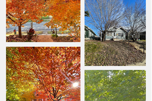 3430 Irving Ave, Minneapolis MN  55408-3322 exterior