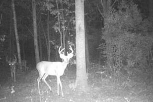 5449 104th St SW - Photo 21