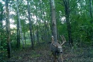 5449 104th St SW - Photo 25