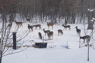 928 110th St - Photo 33