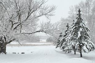 928 110th St - Photo 27