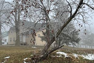 27067 73rd St - Photo 35