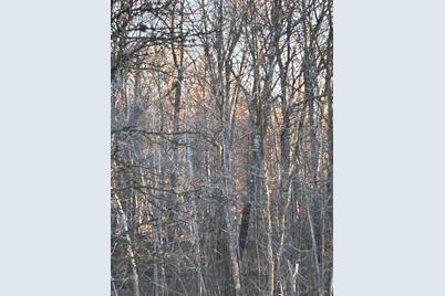 Xxx Powder Horn Drive, Cushing Township, MN 56443 - Photo 1