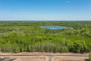 Lot 29 Sanctuary Path, Brainerd, MN 56401 - Photo 77