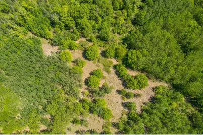 Lot 29 Sanctuary Path, Brainerd, MN 56401 - Photo 83