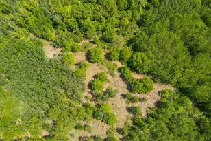 Lot 29 Sanctuary Path, Brainerd, MN 56401 - Photo 83