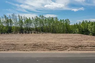 Lot 29 Sanctuary Path, Brainerd, MN 56401 - Photo 87