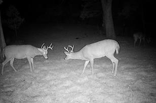 14048 Terrace Rd NE - Photo 55