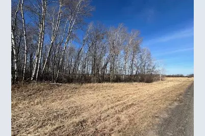 Xxx Dove Road, Little Falls, MN 56345 - Photo 5