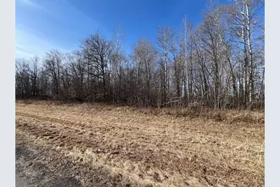 Xxx Dove Road, Little Falls, MN 56345 - Photo 3