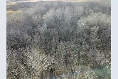 Xxx Dove Road, Little Falls, MN 56345 - Photo 37