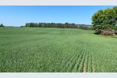 2535 Pioneer Trail, Medina, MN 55340 - Photo 7