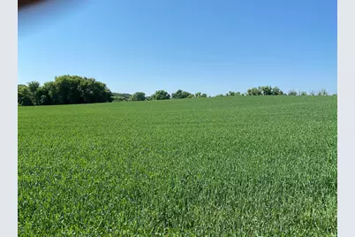 2535 Pioneer Trail, Medina, MN 55340 - Photo 9