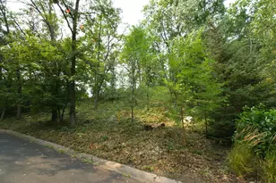 1408 Alpine Pass, Golden Valley, MN 55416 - Photo 1