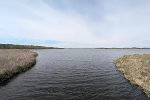 14413 Blueberry-Bridge Rd, Menahga, MN 56464 - Photo 3