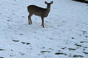 190 139th Ave NW - Photo 71