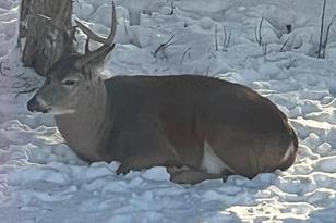 190 139th Ave NW - Photo 69