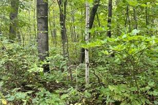 Xxx Opal Ln, Cushing, MN 56443 - Photo 1