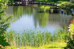 4607 Oak Dr - Photo 55