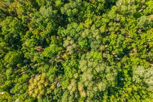 22148 126th Pl, Mcgrath, MN 56350 - Photo 11