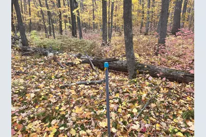 154Xx Durphee Lane, Hayward, WI 54843 - Photo 15