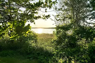 36867 Krueger Loop, Dent, MN 56528 - Photo 35