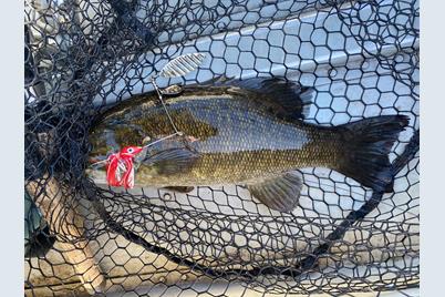 Tbd Buck Dr., Bovey, MN 55709 - Photo 31