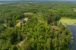 33314 Island Lake Trail, Pequot Lakes, MN 56472 - Photo 53