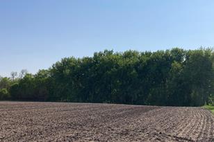 Lot 6&7 McKinney Dr, Windom, MN 56101 - Photo 1