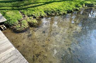 31033 Valley View Rd - Photo 5