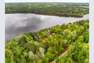 Tbd Dodder Lane SW, Pequot Lakes, MN 56472 - Photo 3