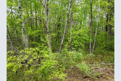 Tbd Dodder Lane SW, Pequot Lakes, MN 56472 - Photo 17