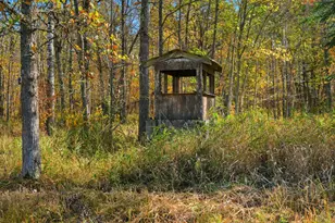 6281 24th Ave NW, Walker, MN 56484 - Photo 25