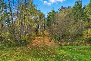 6281 24th Ave NW, Walker, MN 56484 - Photo 11