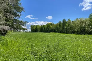 6281 24th Ave NW, Walker, MN 56484 - Photo 39