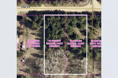 Lots 22 & 23 Oak Drive, Browerville, MN 56438 - Photo 1