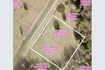 Lot 54 & 55 Pacer Loop, Browerville, MN 56438 - Photo 1