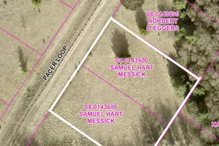 Lot 54 & 55 Pacer Loop, Browerville, MN 56438 - Photo 1