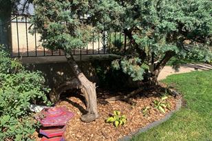 5726 Garfield Ave - Photo 43