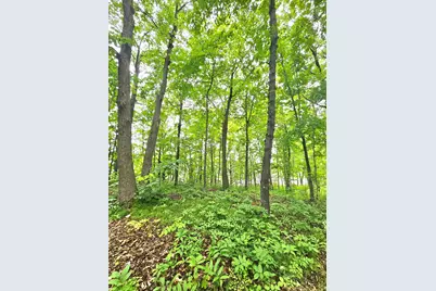 Tbd East Grace Street, Isle, MN 56342 - Photo 11